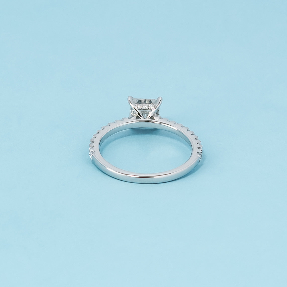 Hidden Elegance Princess Cut Moissanite Engagement Ring